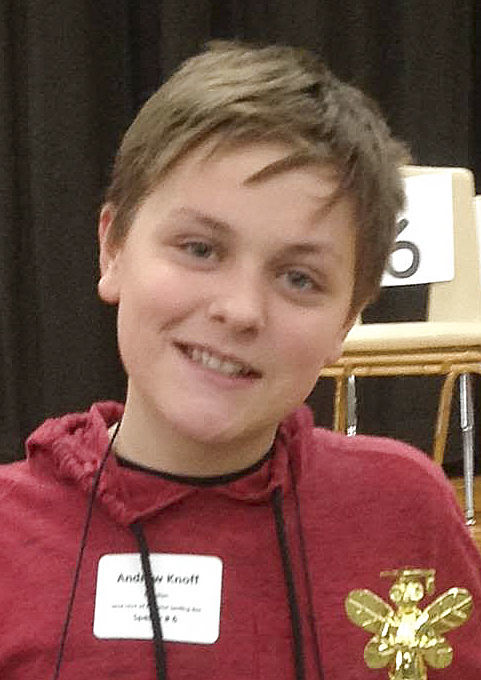 Andrew Knoff